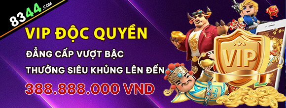 Hình ảnh quảng cáo của hcm66 hiển thị nền tảng và các lợi ích