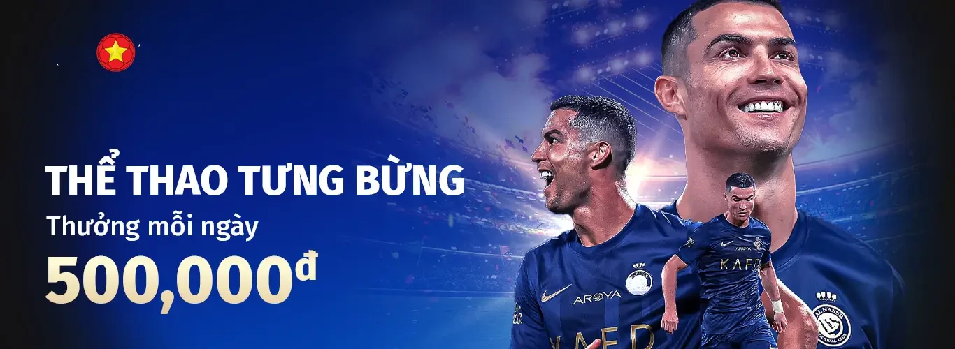Hình ảnh quảng cáo của hcm66 hiển thị nền tảng và các lợi ích