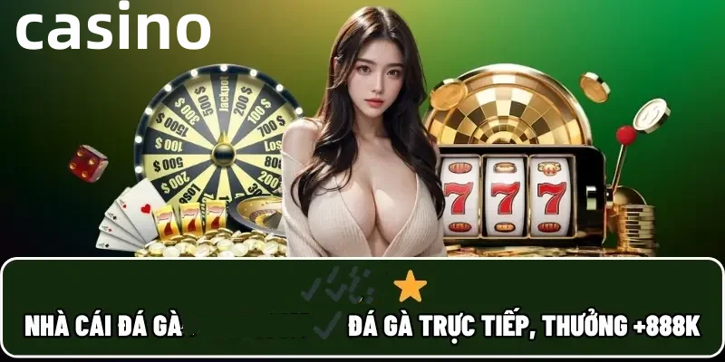 Hình ảnh quảng cáo của hcm66 hiển thị nền tảng và các lợi ích