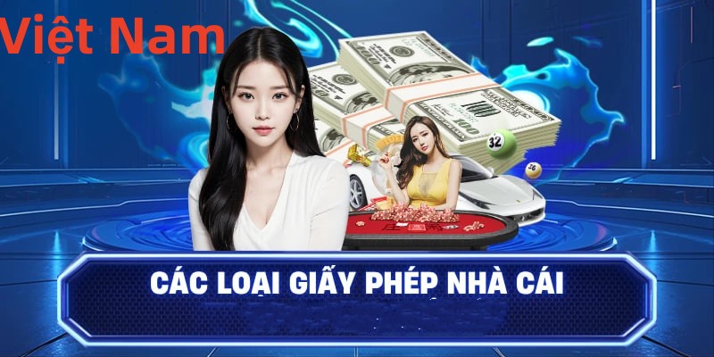 Hình ảnh quảng cáo của hcm66 hiển thị nền tảng và các lợi ích