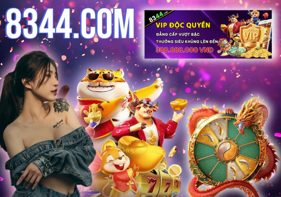 Hình ảnh quảng cáo của hcm66 hiển thị nền tảng và các lợi ích