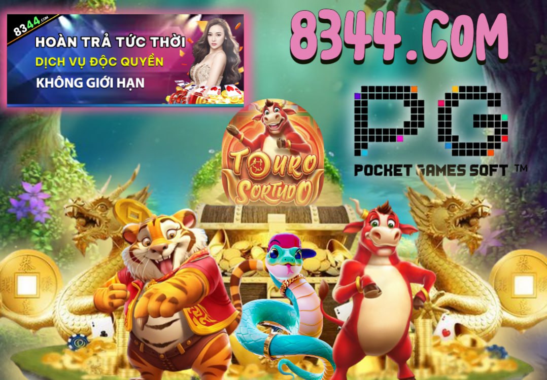 Hình ảnh quảng cáo của hcm66 hiển thị nền tảng và các lợi ích