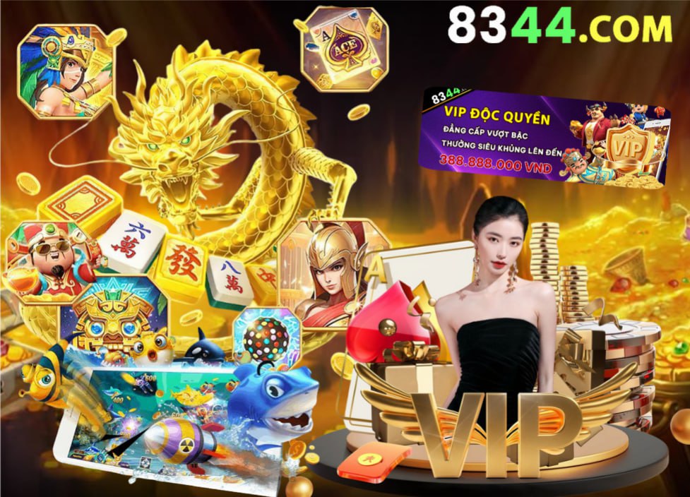 Hình ảnh quảng cáo của hcm66 hiển thị nền tảng và các lợi ích
