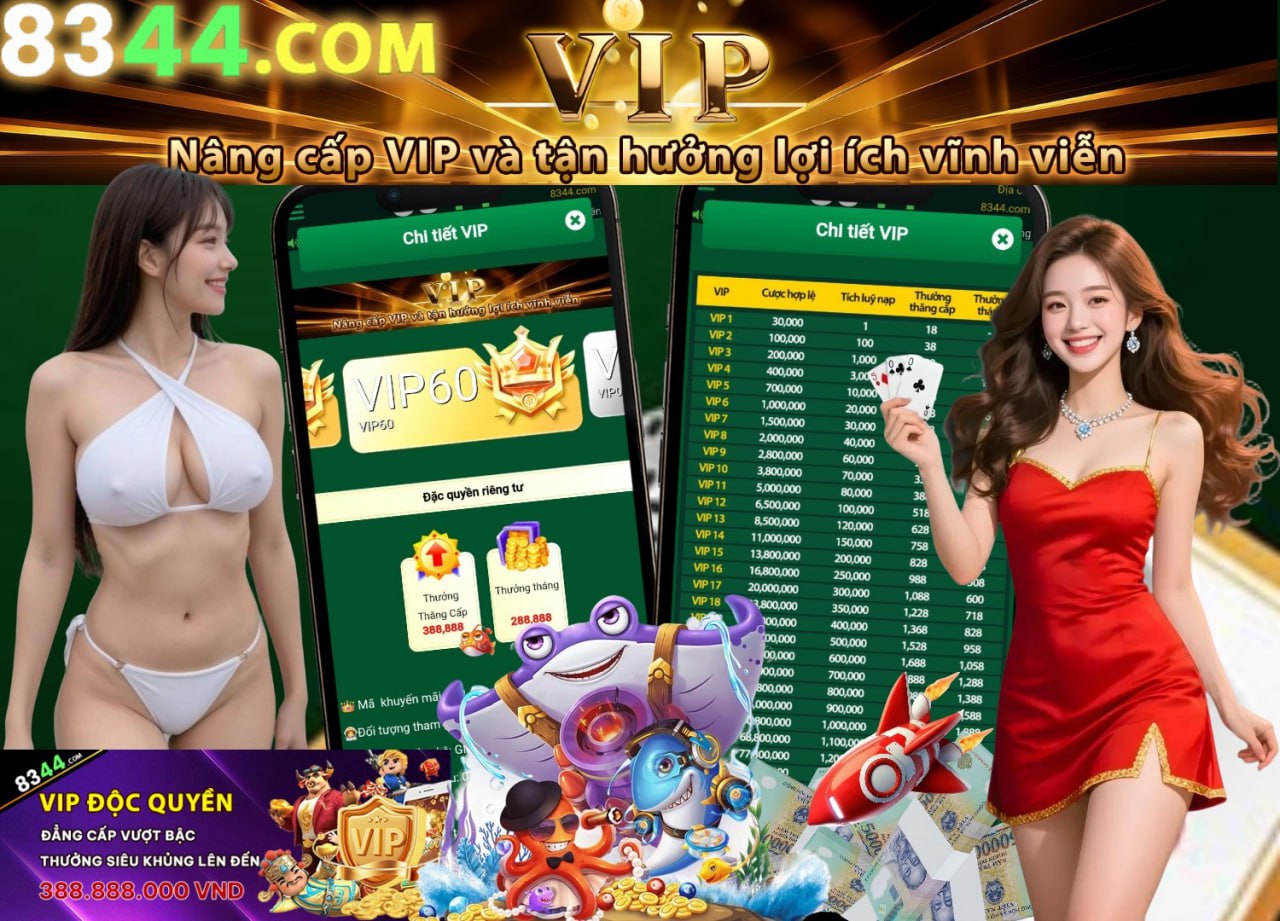 Hình ảnh quảng cáo của hcm66 hiển thị nền tảng và các lợi ích